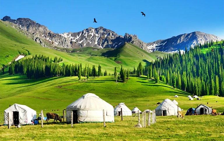 10 Days Stunning Xinjiang Tour including Ili Apricot Blossom and Naraty Grassland 2024/2025