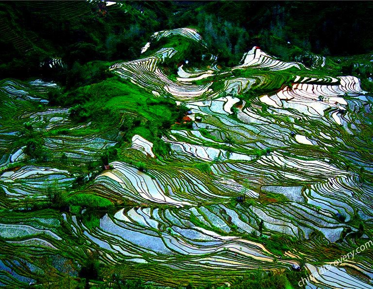 Yuanyang Tour, Yunnan China Rice Terraces Tour 2018/2019