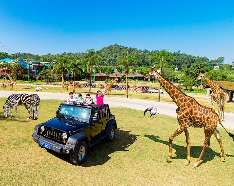safari ride park