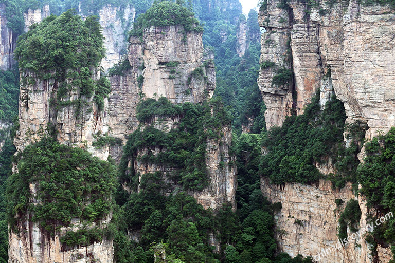 Zhangjiajie City Tour