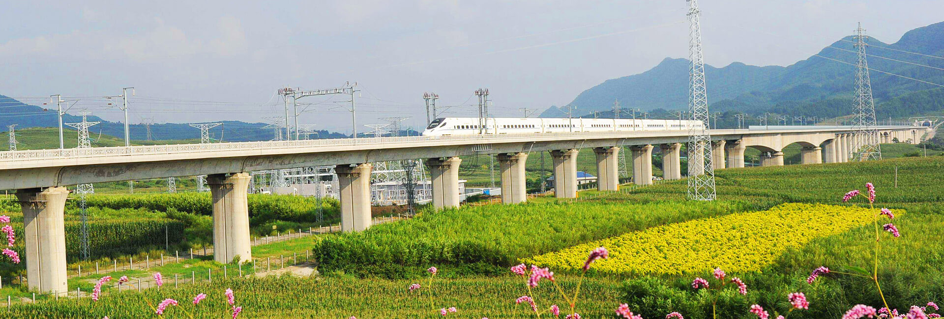 China High Speed Train Types