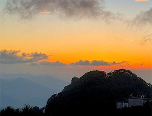 Huangshan Tour