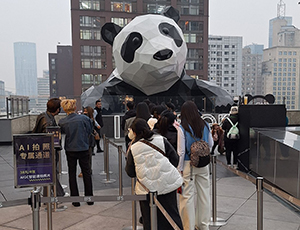 Chengdu Tour