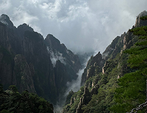 Huangshan Tour