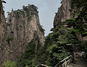 Huangshan Tour