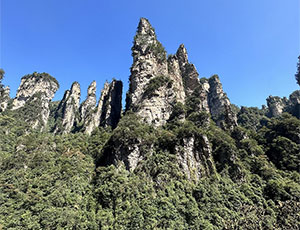 Zhangjiajie Tour