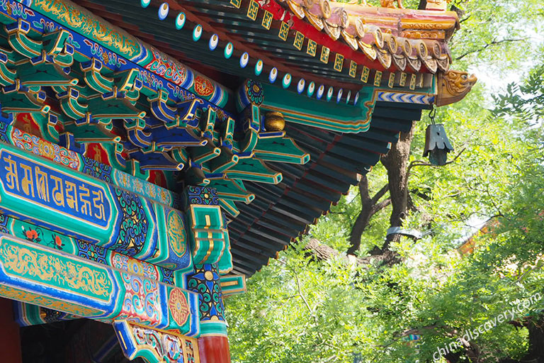 Lama Temple