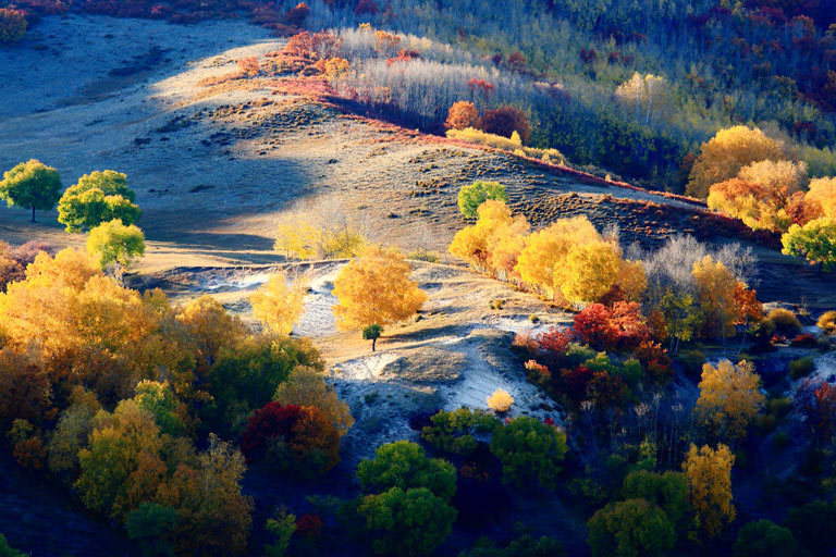 Wulan Butong Grassland Hamaba Autumn Scenery