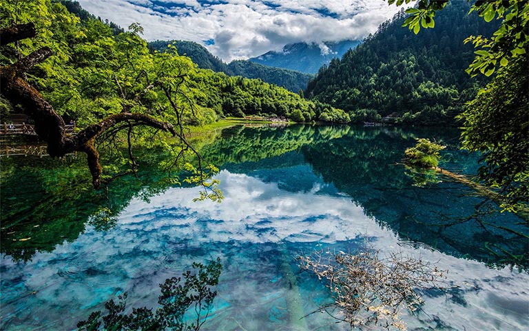 Jiuzhaigou Waterscape