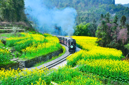 Chengdu sightseeing