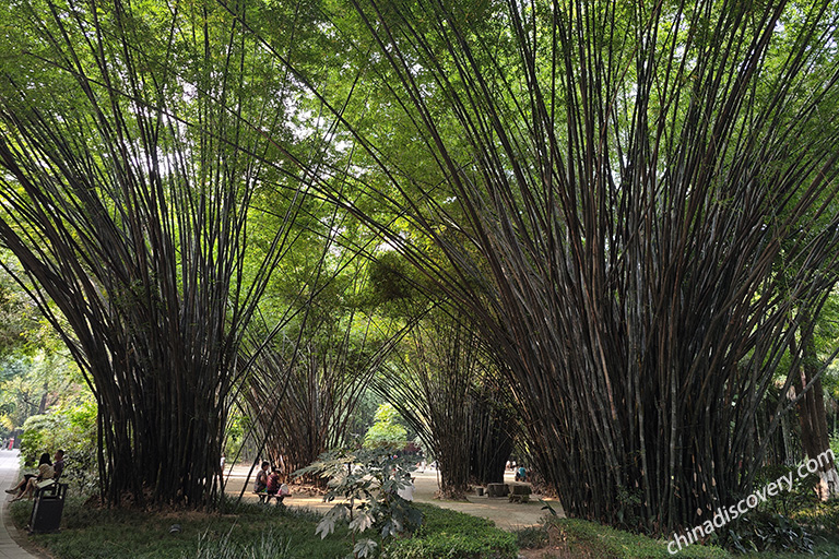 Parks in Chengdu