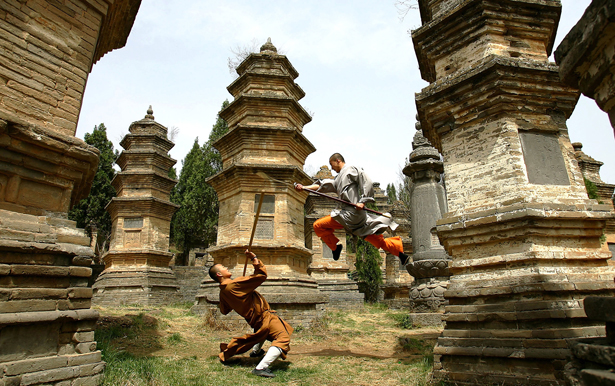 Pagoda Forest