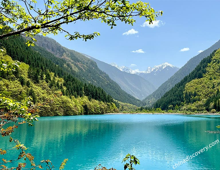 Long Lake in Jiuzhaigou with Snow-capped Mountains in the Background - Robert 