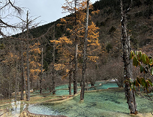 Jiuzhaigou Tour