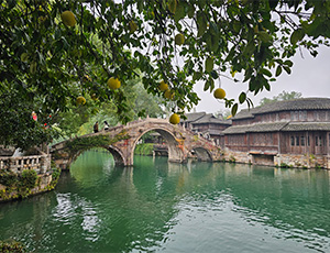 Zhejiang Tour