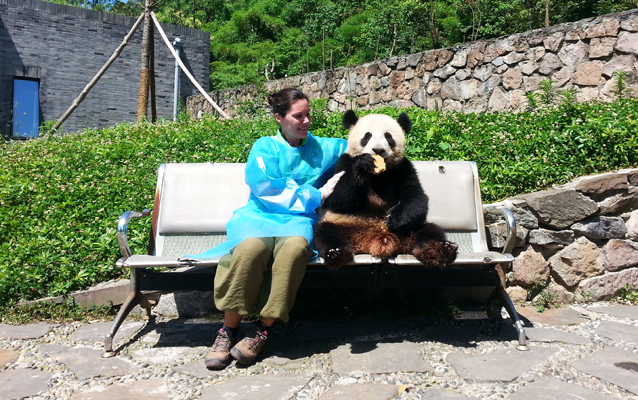 Hug a Cute Giant Panda in Dujiangyan