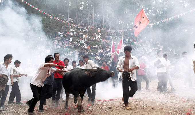 Dong's Bullfighting Festivalou