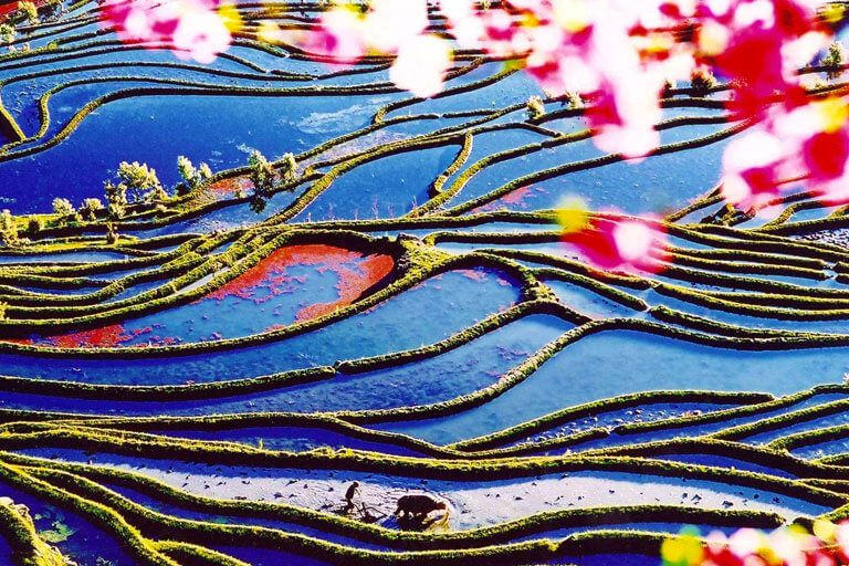 Hani Rice Terraces