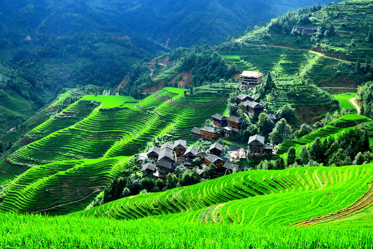 Guilin Photography -  Longji Rice Terreaces