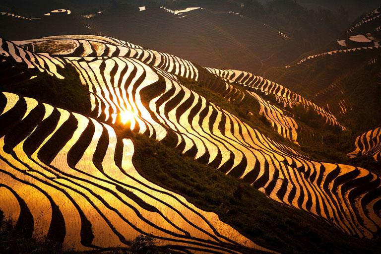 Guilin Photography -  Longji Rice Terreaces