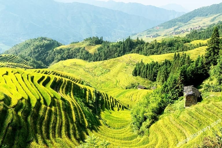 Guilin Photography -  Longji Rice Terreaces