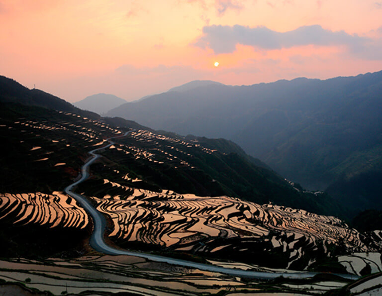 Beautiful Jiabang Rice Terraces Sunset