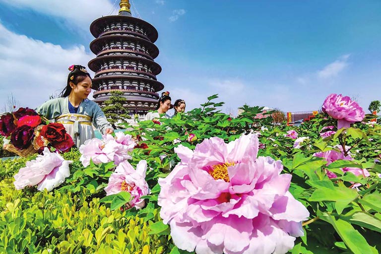 Henan Attractions