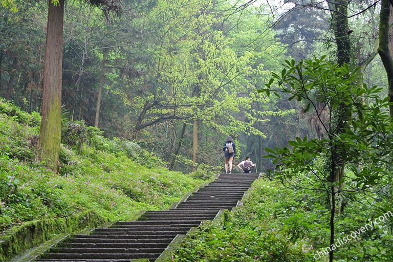 3 Days Mount Emei Classic Walking Tour 