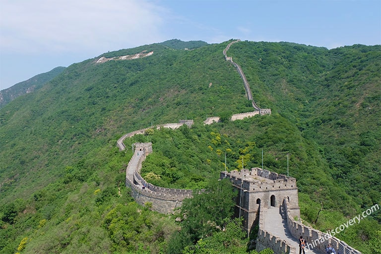 Mutianyu Great Wall Surrounded by Lush Green Forests in June