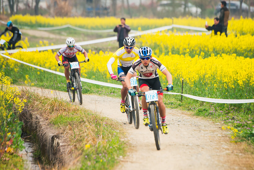 Huangshan Biking Tour