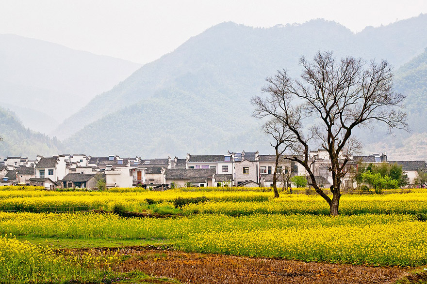 Lucun Ancient Village