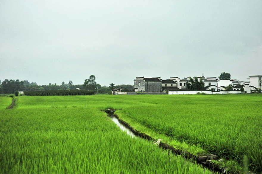 Nanping Ancient Village