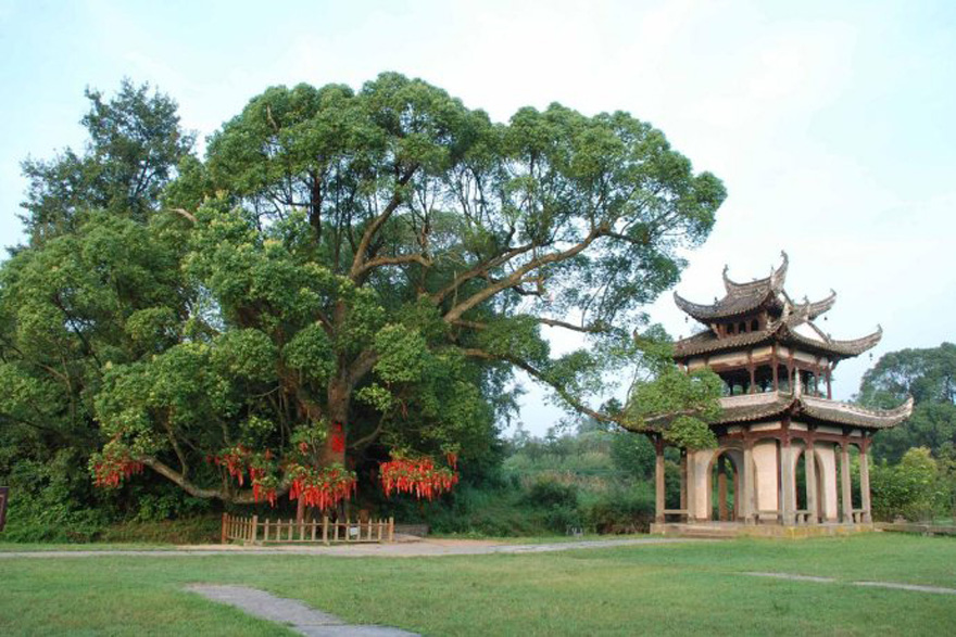 Tangmo Ancient Village