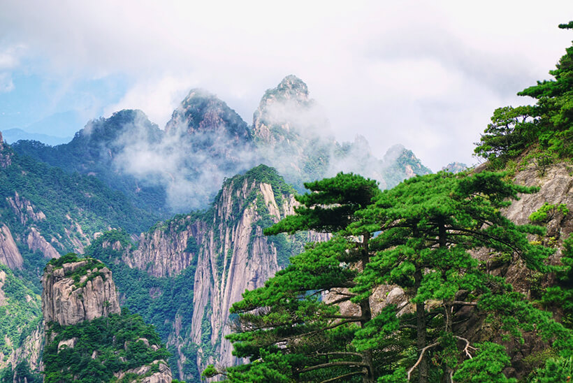 Huangshan Yellow Mountain Summer