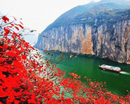 Yangtze Cruise with red leaves