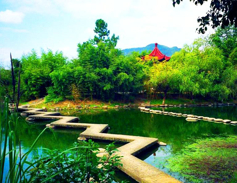 Refreshing Scenery at China Bamboo Expo Park in Anji