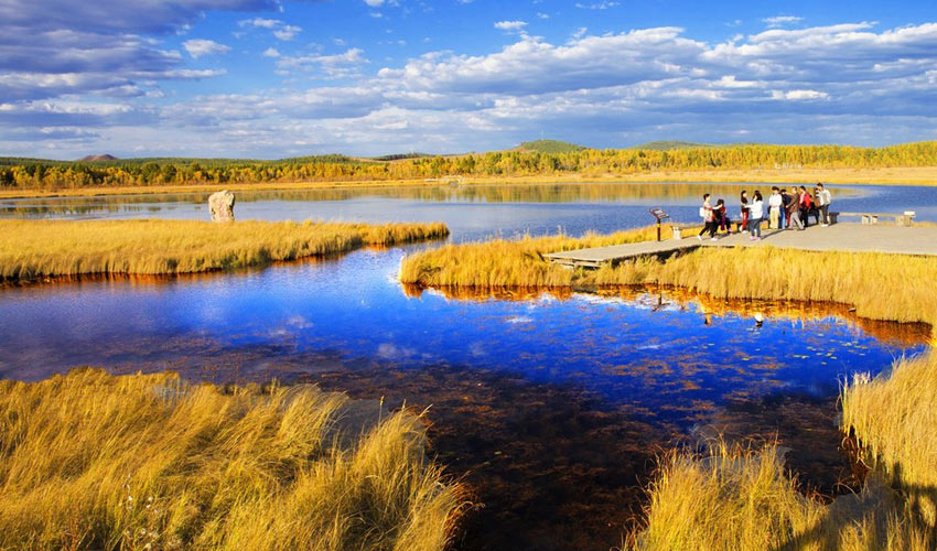 Inner Mongolia Autumn