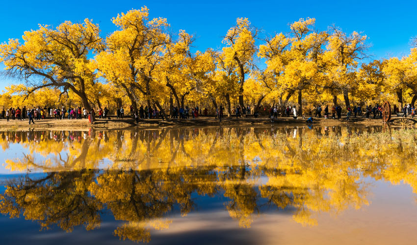 Inner Mongolia Autumn