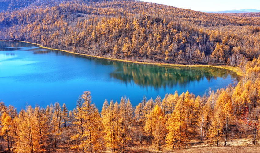 Inner Mongolia Autumn