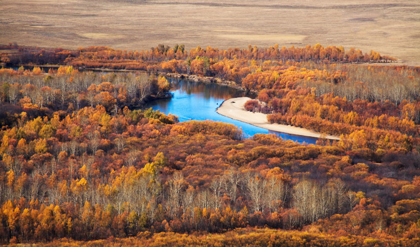 Inner Mongolia Autumn