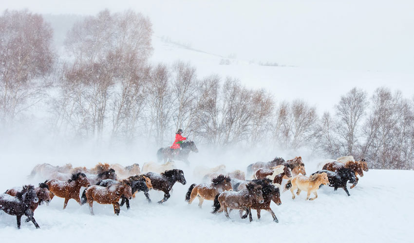 Inner Mongolia Winter