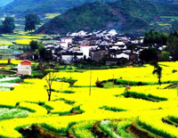 Wuyuan County 