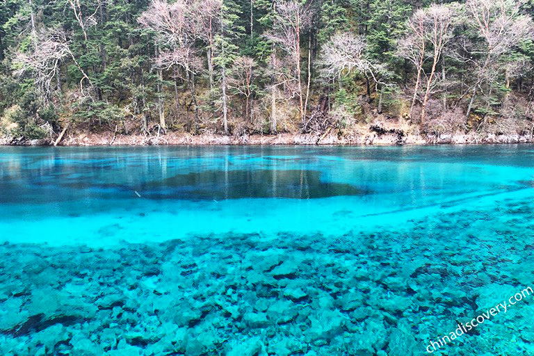 Juizhiagou Scenery, Jiuzhaigou Photo Gallery