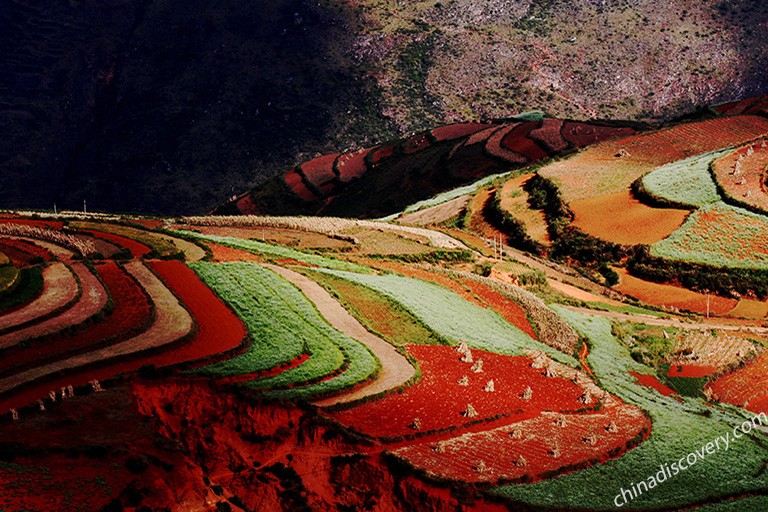 Dongchuan Red Land in Yunnan