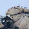 Mount Hua