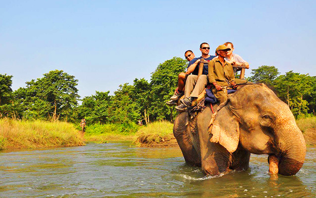 Elephant safari 