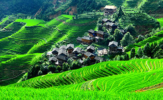 Longji Terrace