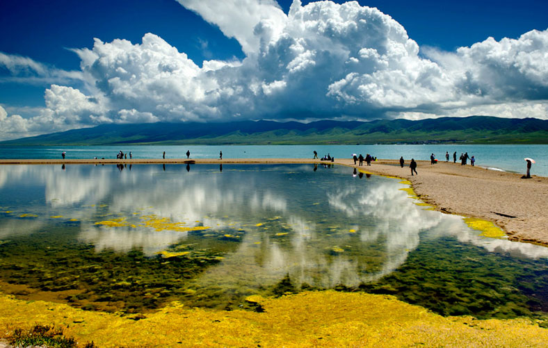 Qinghai Lake Monster