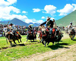 Yak Racing