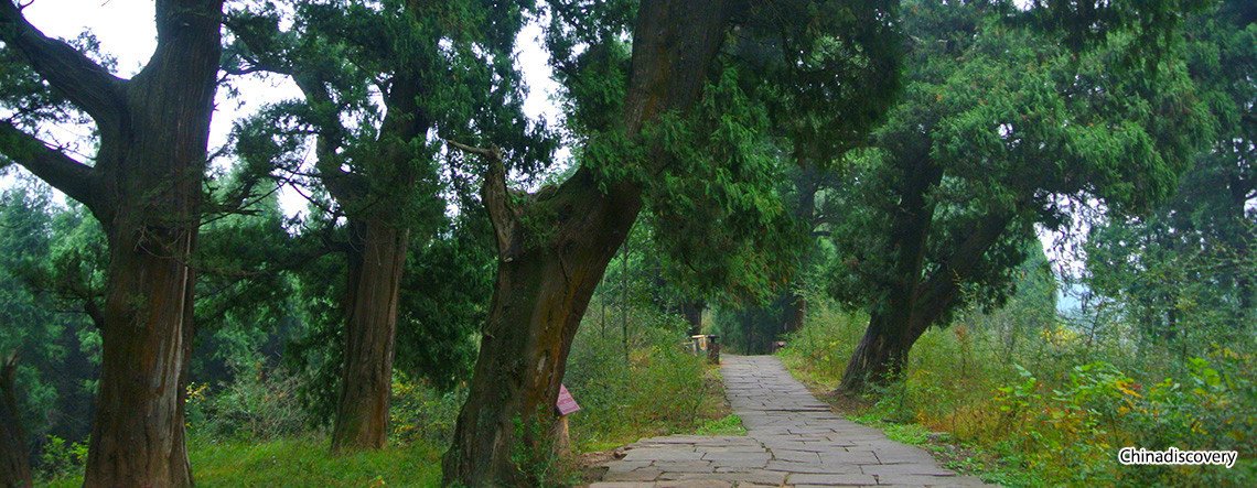 Chengdu Jianmen Pass & Langzhong Ancient City Tour